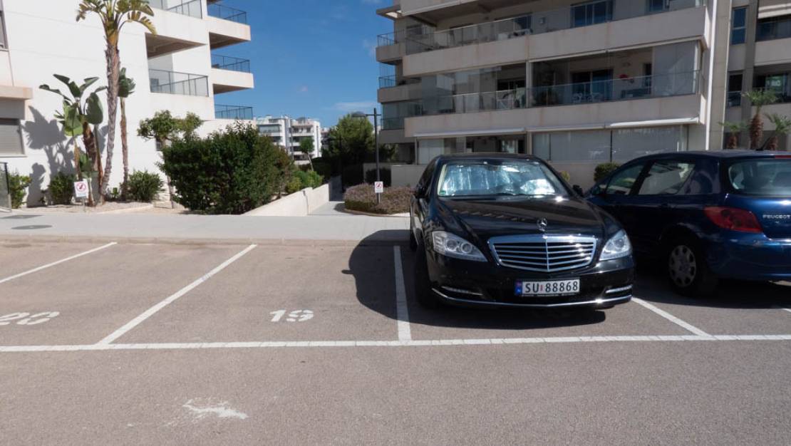 Sale - Apartment - Los Dolses