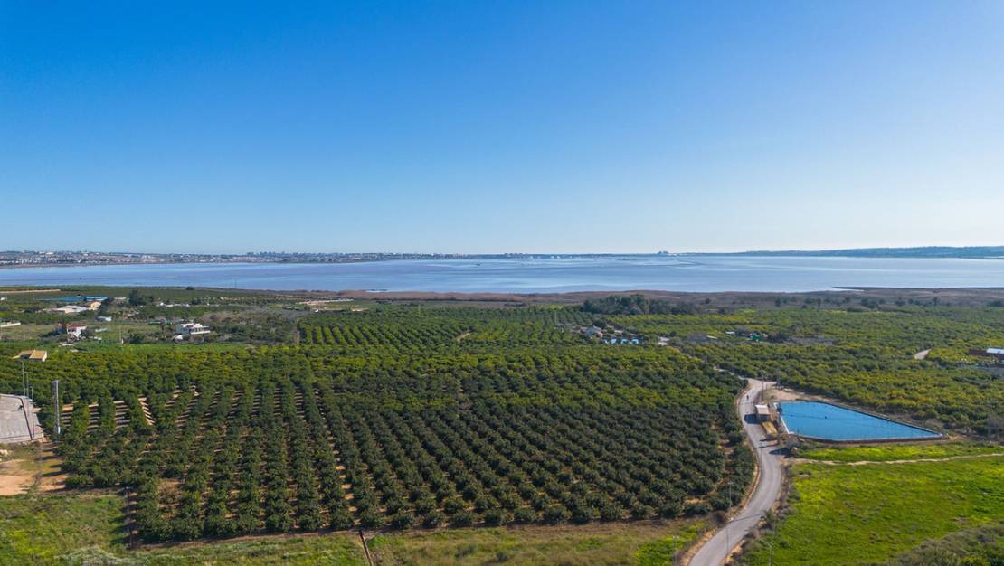 Sale - Apartment - Los Montesinos - Los Montesinos Centro