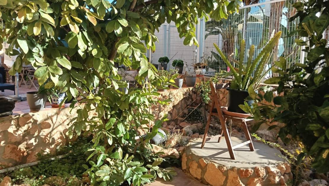 Sale - Apartment - Los Montesinos - Los Montesinos Centro