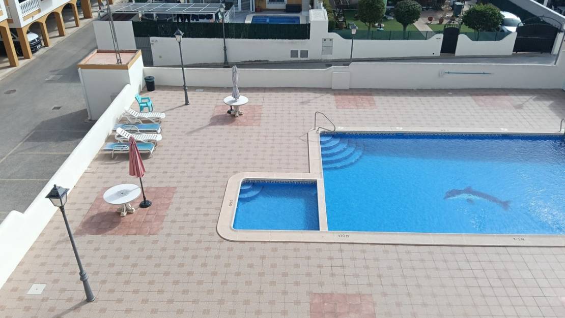 Sale - Apartment - Los Montesinos - Los Montesinos Centro