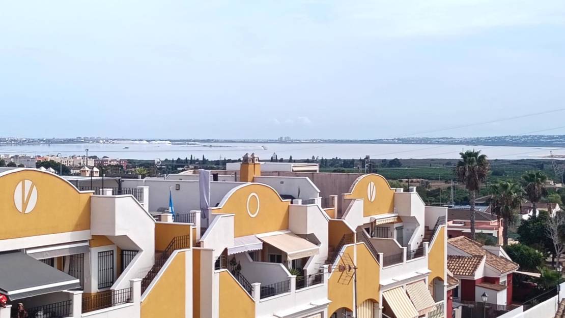 Sale - Apartment - Los Montesinos - Los Montesinos Centro