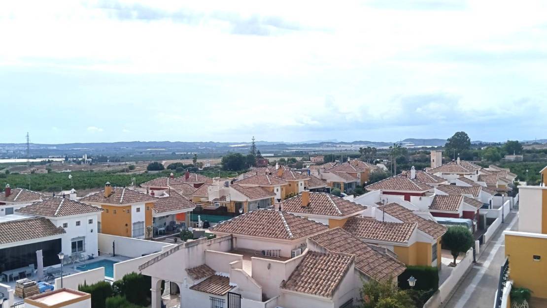 Sale - Apartment - Los Montesinos - Los Montesinos Centro