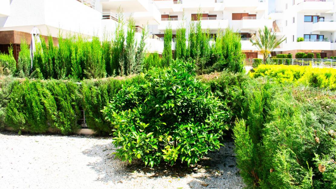 Sale - Apartment - Orihuela - Cabo Roig