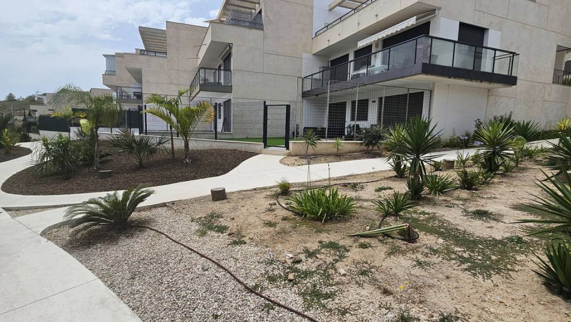 Sale - Apartment - Orihuela - Campoamor R-5