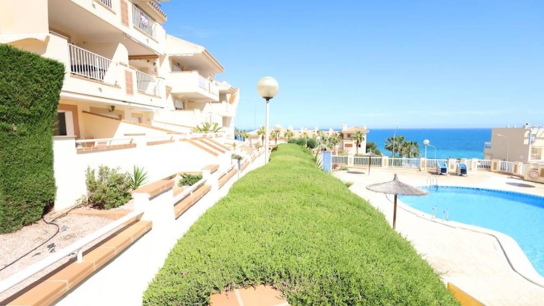 Sale - Apartment - Orihuela - Campoamor