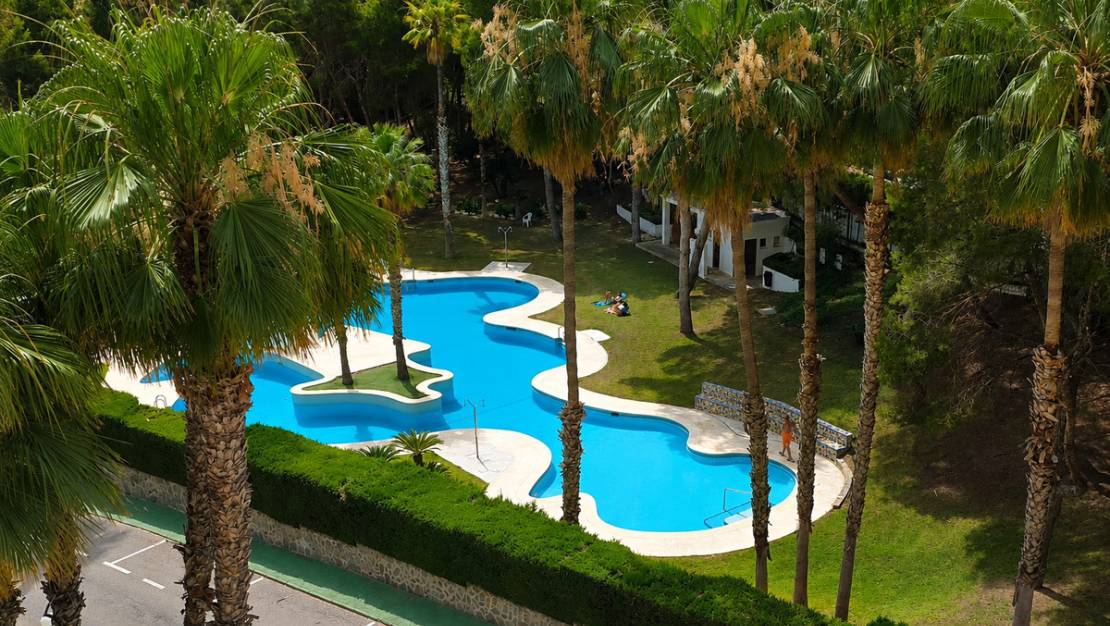 Sale - Apartment - Orihuela - Campoamor