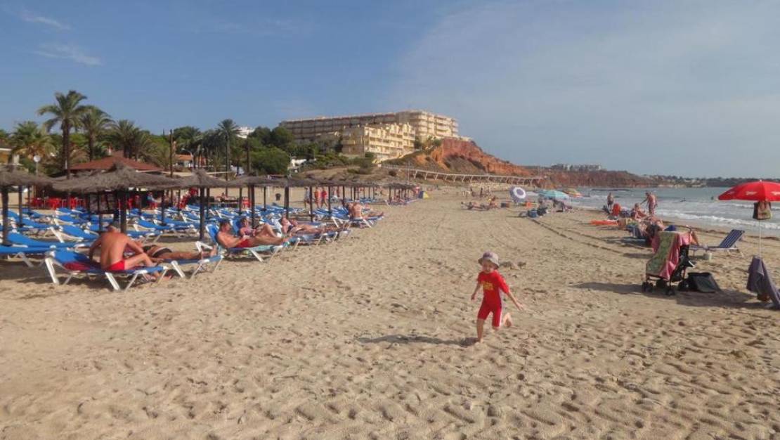 Sale - Apartment - Orihuela - Campoamor