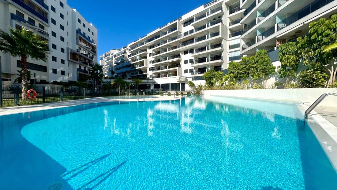 Sale - Apartment - Orihuela - Campoamor