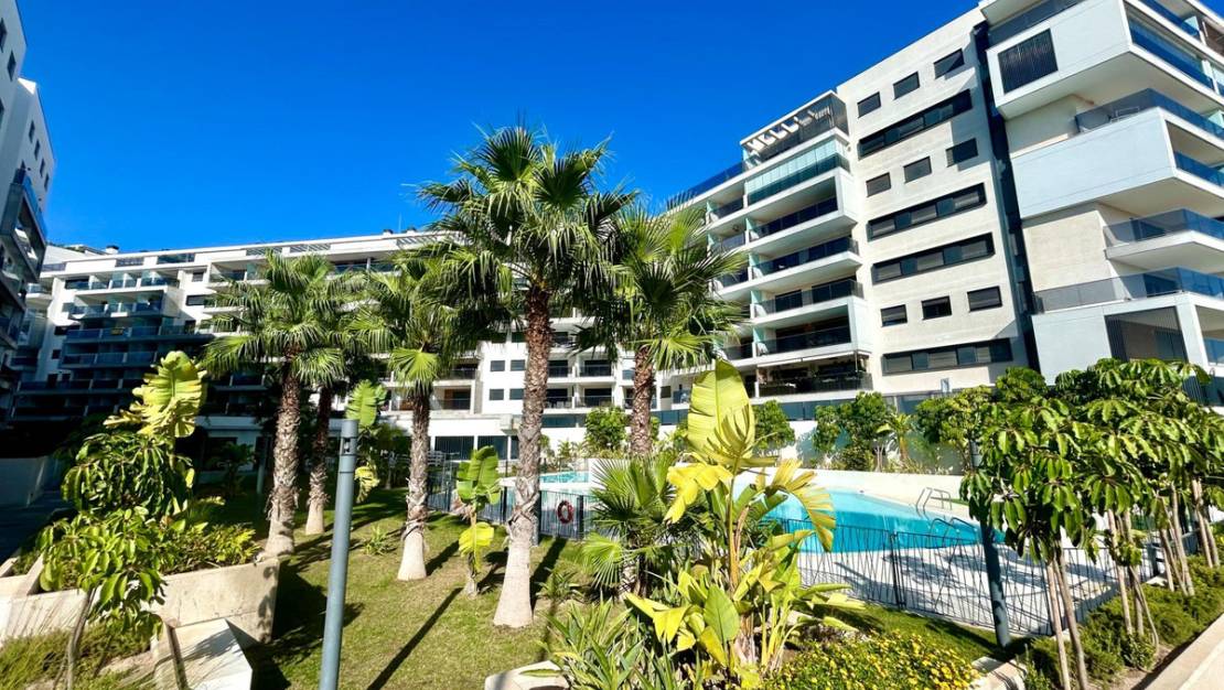 Sale - Apartment - Orihuela - Campoamor