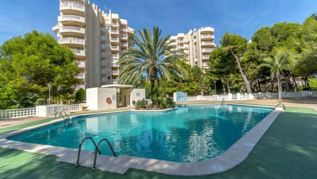 Sale - Apartment - Orihuela Costa - Altos de Campoamor