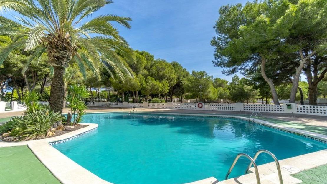Sale - Apartment - Orihuela Costa - Altos de Campoamor