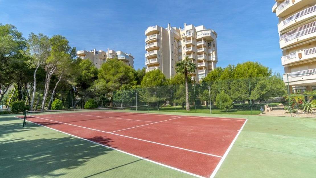 Sale - Apartment - Orihuela Costa - Altos de Campoamor