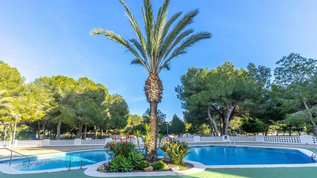 Sale - Apartment - Orihuela Costa - Altos de Campoamor