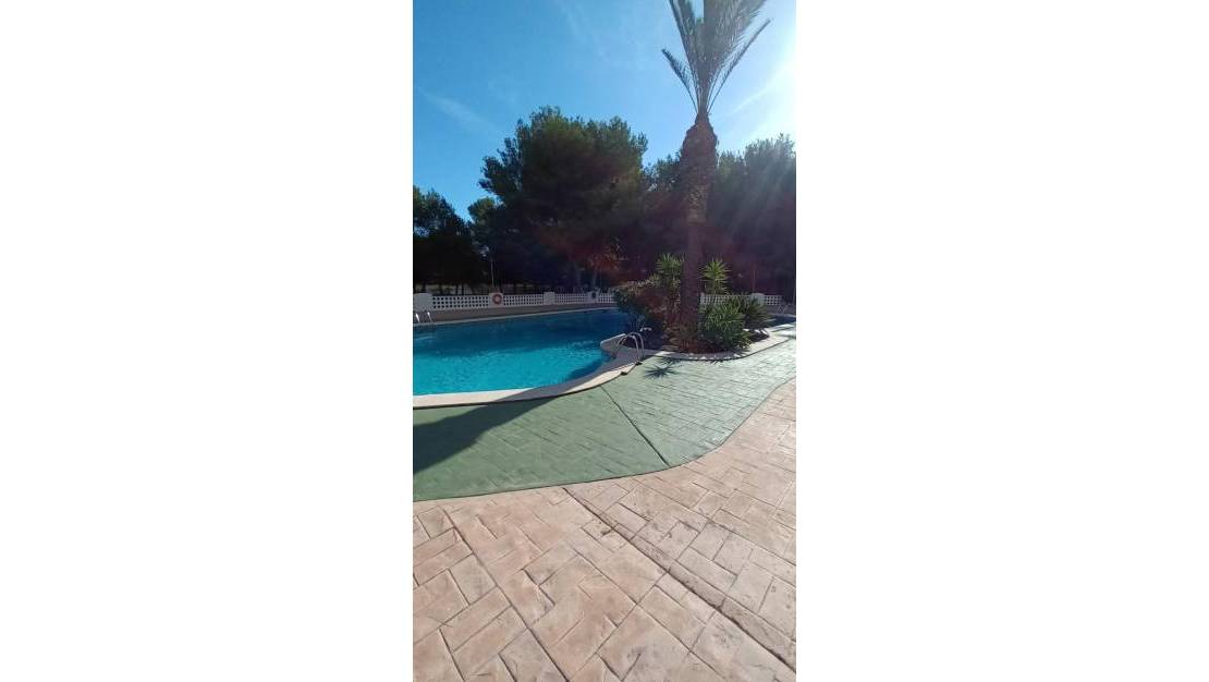 Sale - Apartment - Orihuela Costa - Altos de Campoamor