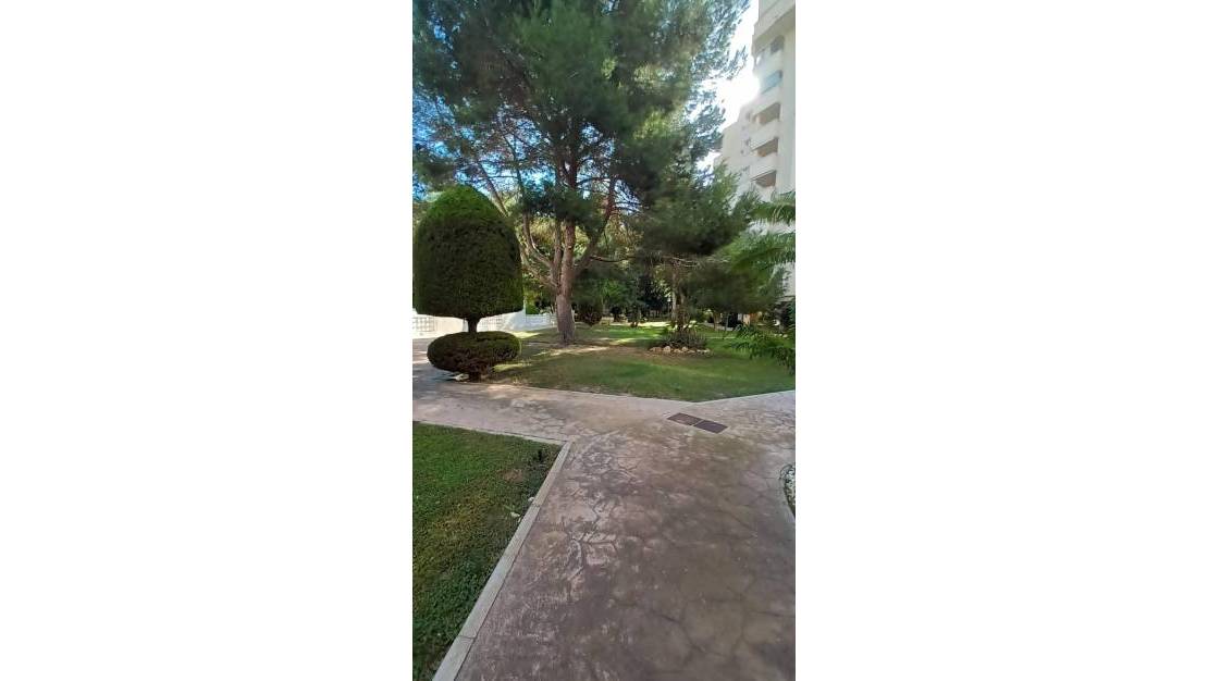 Sale - Apartment - Orihuela Costa - Altos de Campoamor