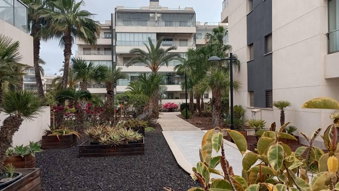 Sale - Apartment - Orihuela Costa - La Zenia