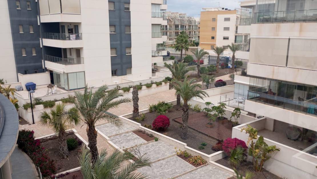 Sale - Apartment - Orihuela Costa - La Zenia