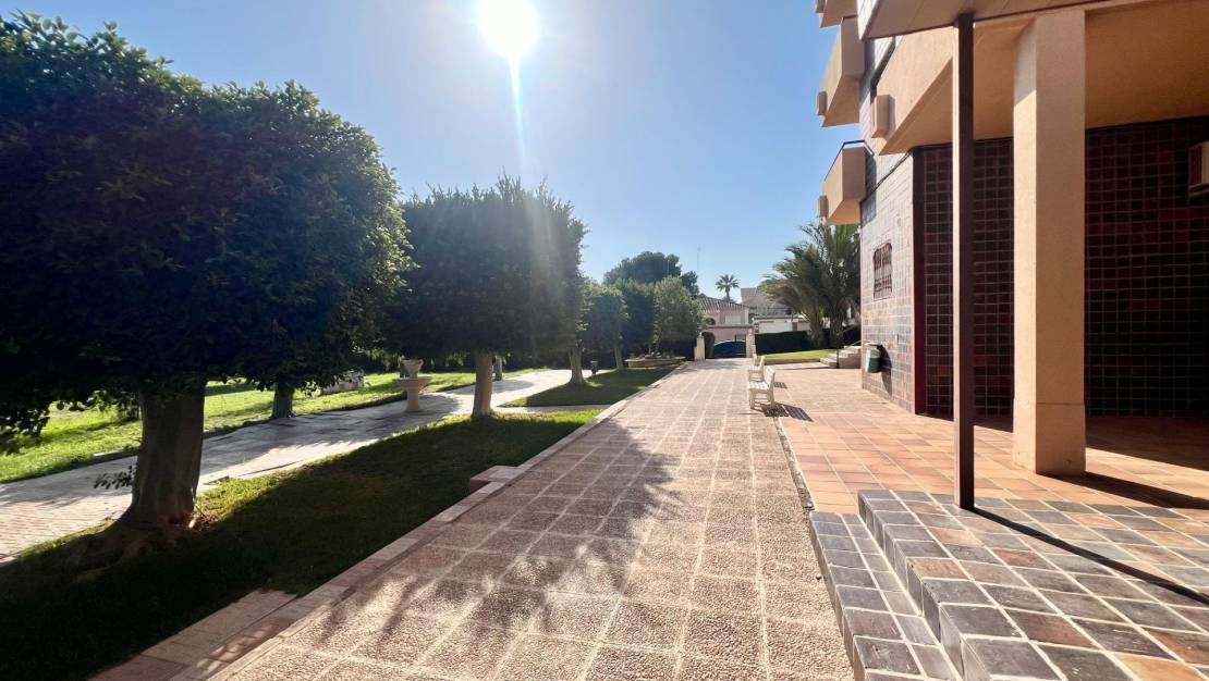 Sale - Apartment - Orihuela Costa - La Zenia