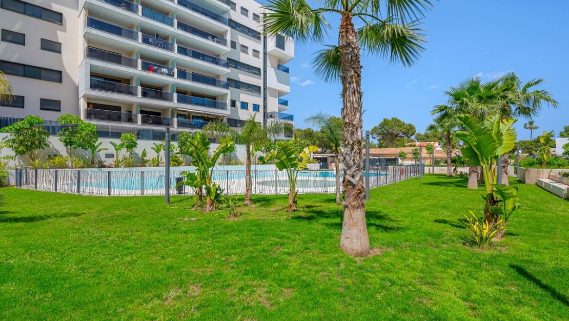Sale - Apartment - Orihuela - Dehesa de Campoamor