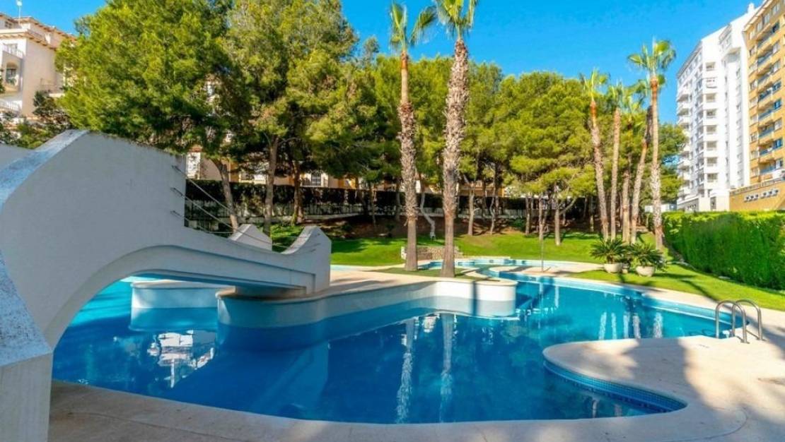 Sale - Apartment - Orihuela - Dehesa de Campoamor