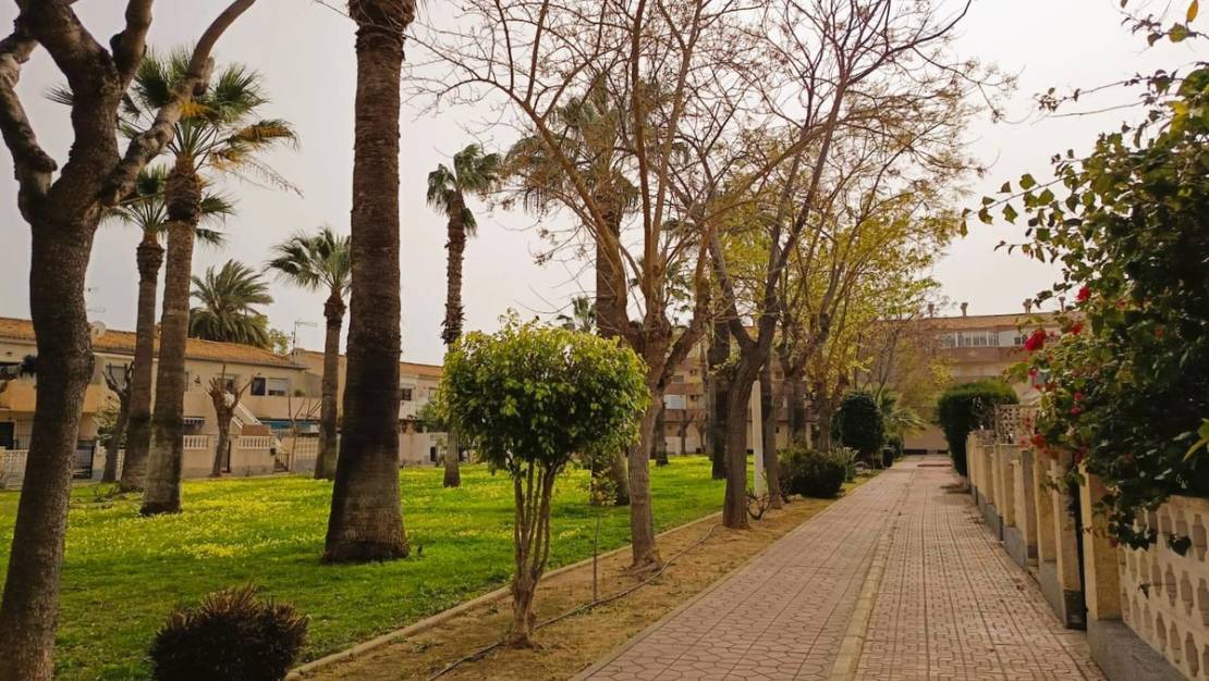 Sale - Apartment - Orihuela - La Regia