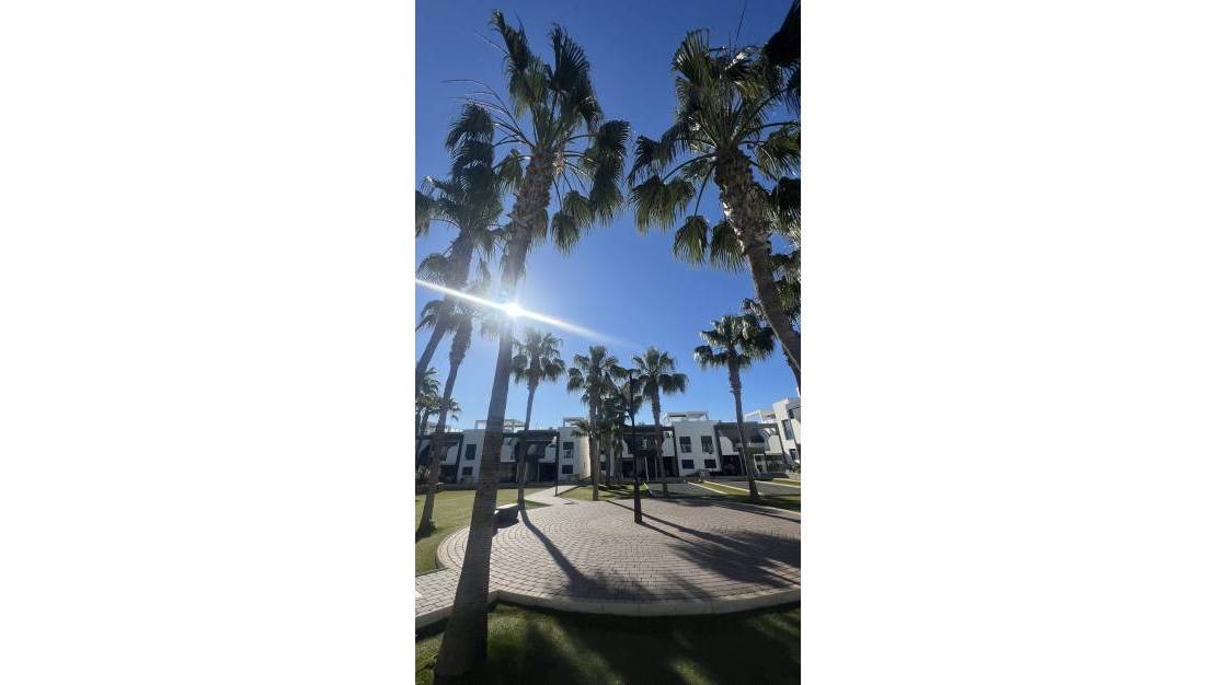 Sale - Apartment - Orihuela - La Zenia