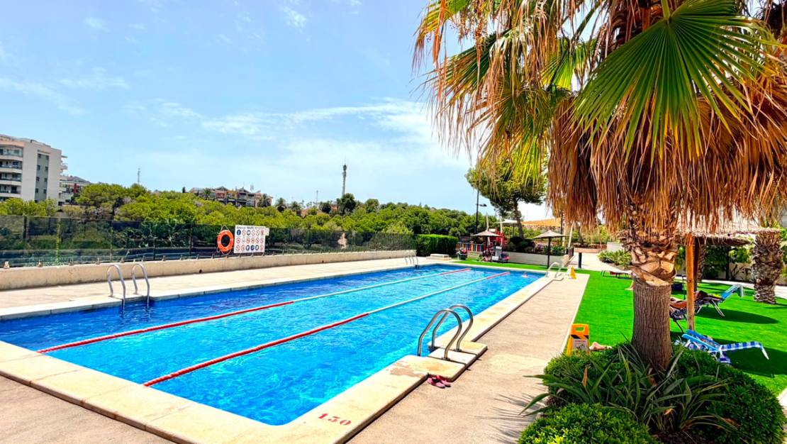 Sale - Apartment - Orihuela - La Zenia