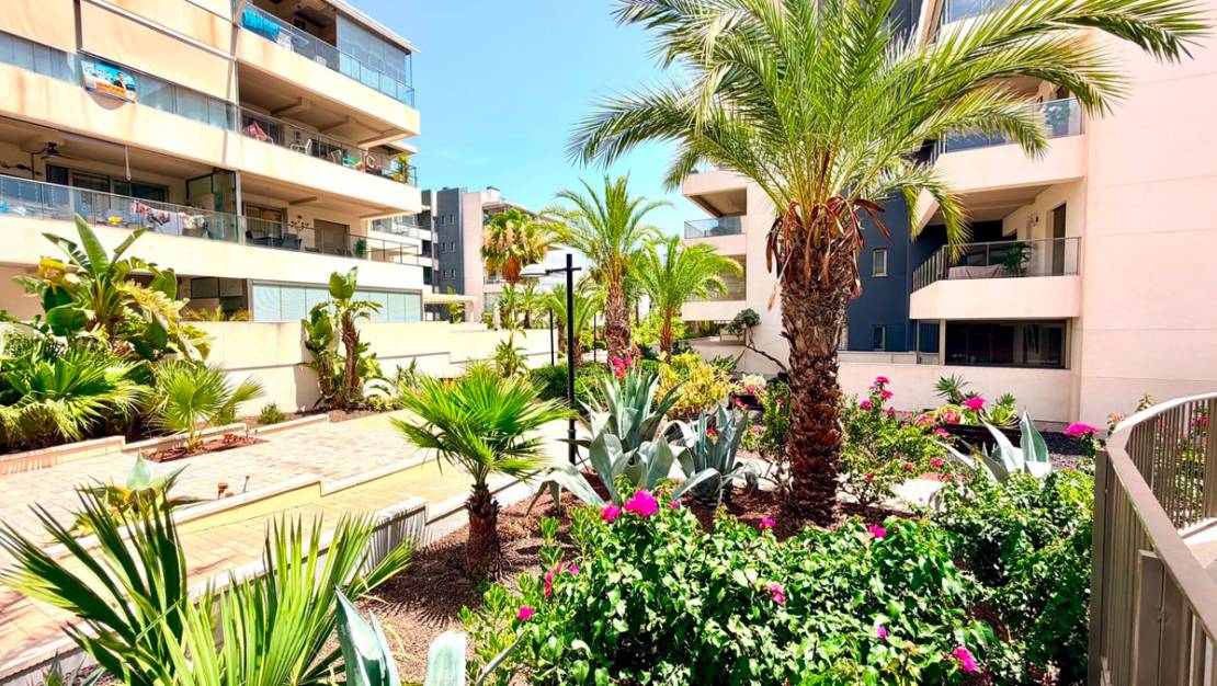 Sale - Apartment - Orihuela - La Zenia