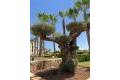Sale - Apartment - Orihuela - Las Colinas Golf