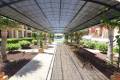 Sale - Apartment - Orihuela - Lomas de Cabo Roig