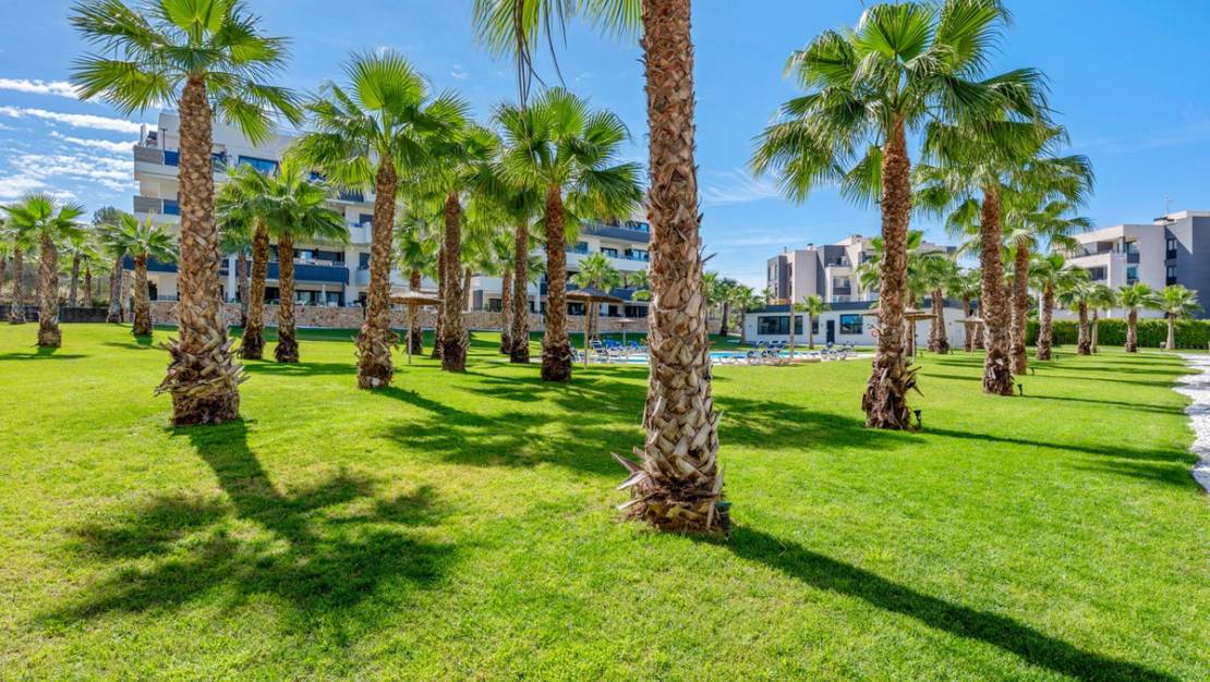 Sale - Apartment - Orihuela - Los Altos