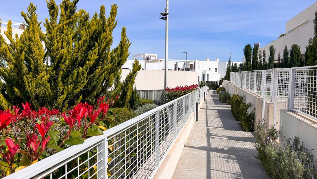 Sale - Apartment - Orihuela - Los Balcones