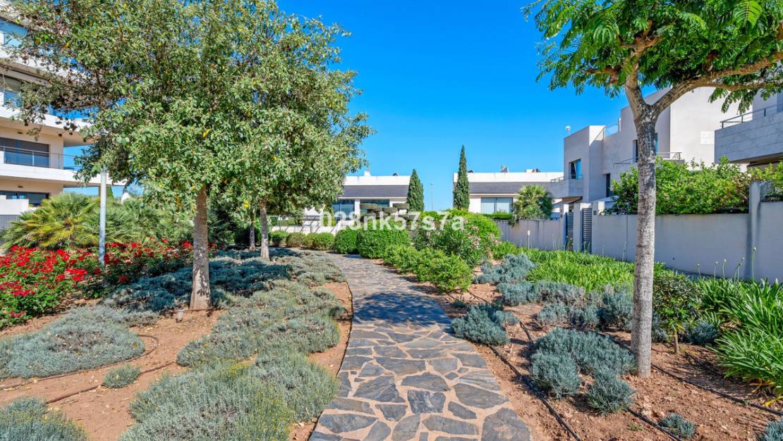 Sale - Apartment - Orihuela - Los Dolses