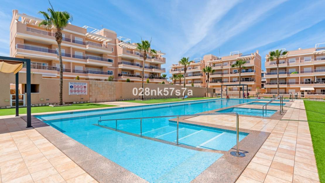 Sale - Apartment - Orihuela - Los Dolses