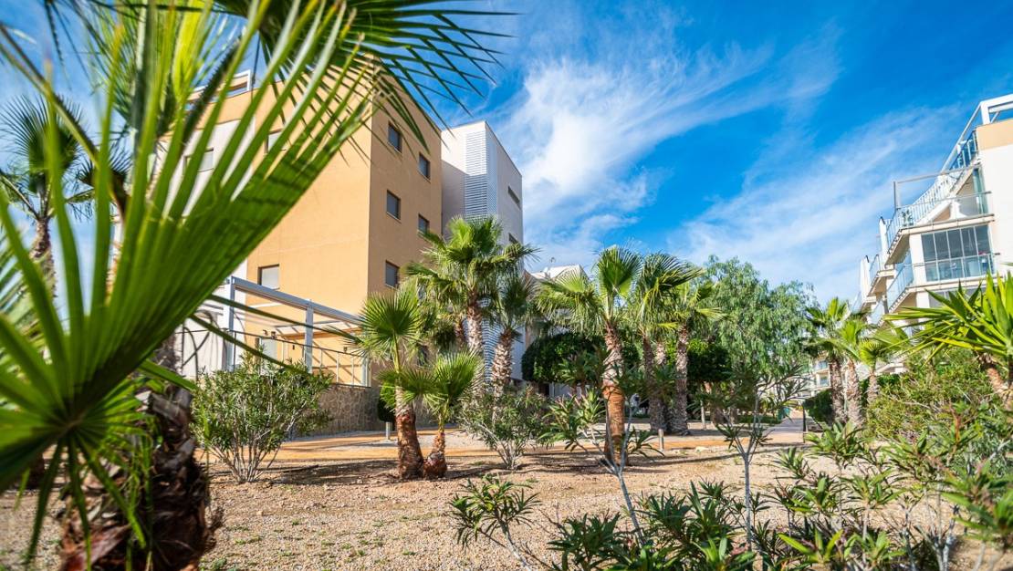 Sale - Apartment - Orihuela - Los Dolses