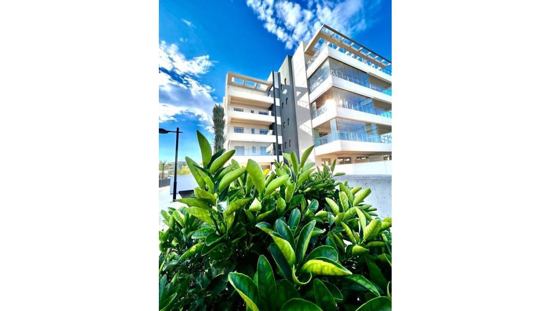 Sale - Apartment - Orihuela - Los Dolses