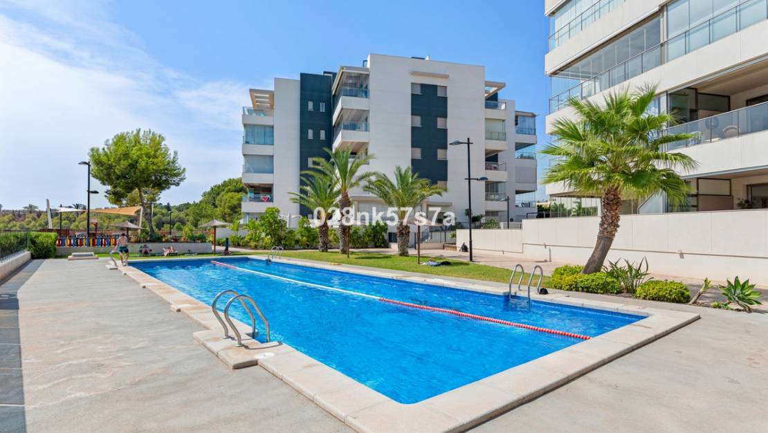 Sale - Apartment - Orihuela - Los Dolses