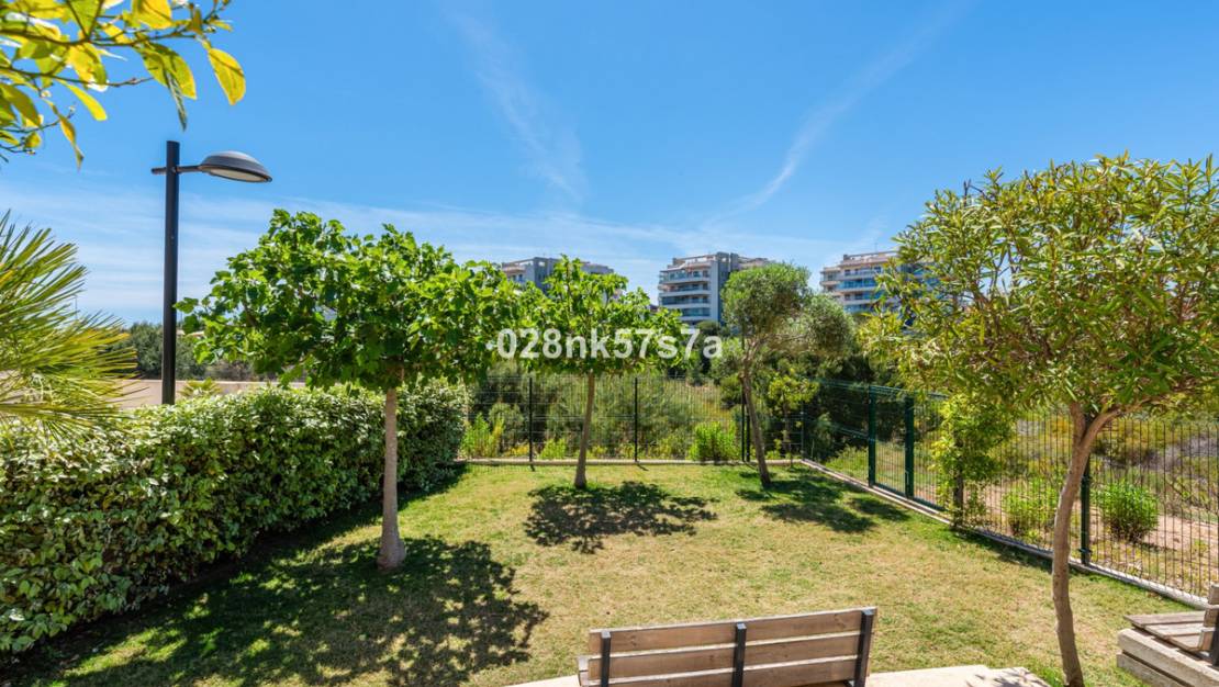 Sale - Apartment - Orihuela - Los Dolses
