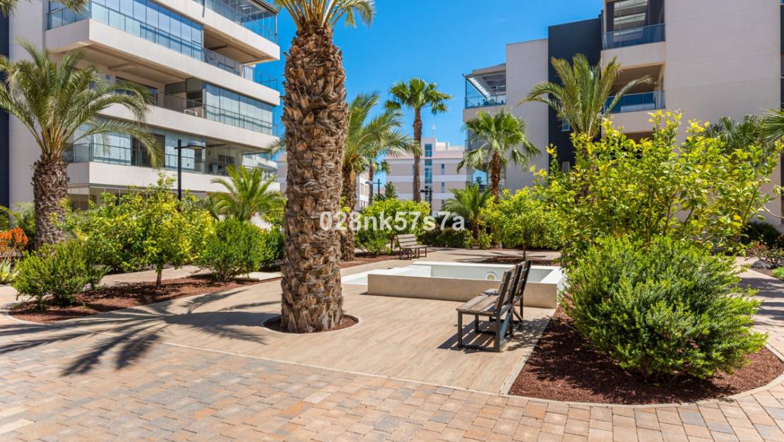 Sale - Apartment - Orihuela - Los Dolses