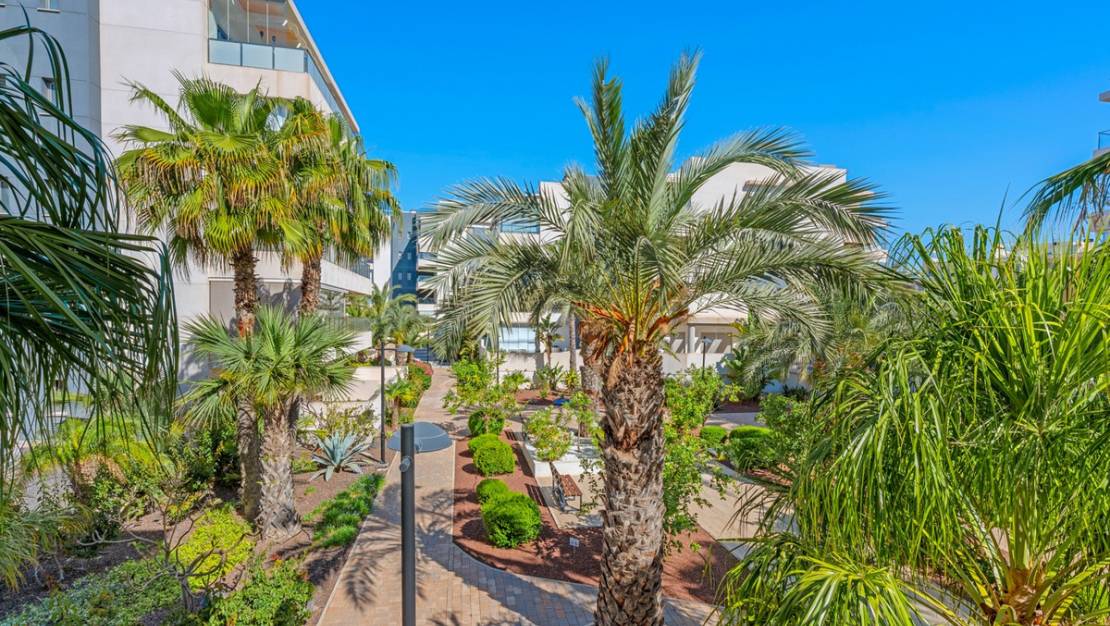 Sale - Apartment - Orihuela - Los Dolses