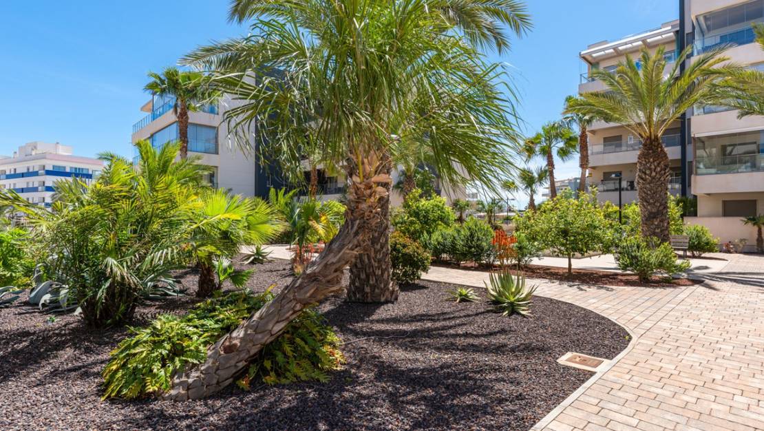 Sale - Apartment - Orihuela - Los Dolses