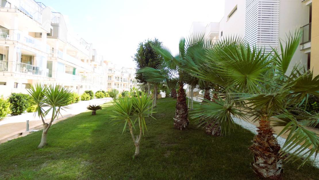 Sale - Apartment - Orihuela - Los Dolses