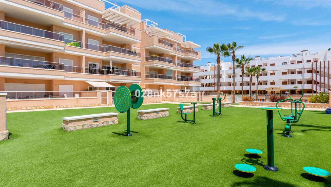 Sale - Apartment - Orihuela - Los Dolses