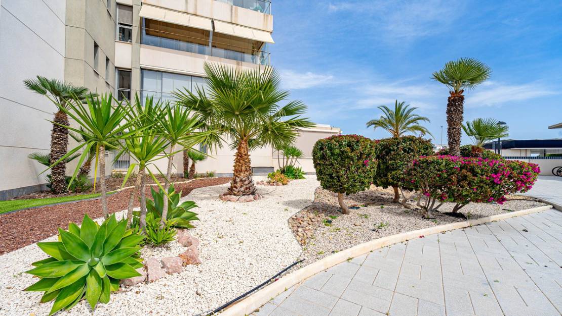 Sale - Apartment - Orihuela - Los Dolses