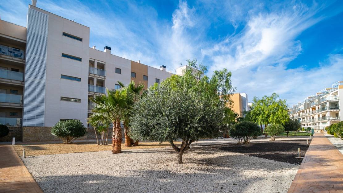 Sale - Apartment - Orihuela - Los Dolses