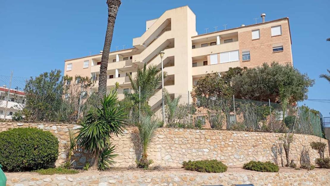 Sale - Apartment - Orihuela - Mil Palmeras