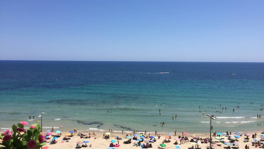 Sale - Apartment - Orihuela - Mil Palmeras