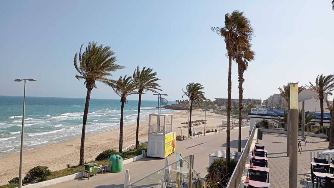 Sale - Apartment - Orihuela - Mil Palmeras