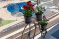 Sale - Apartment - Orihuela - Mil Palmeras