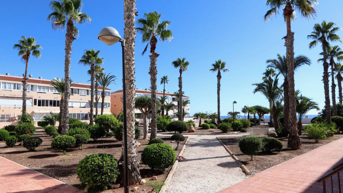 Sale - Apartment - Orihuela - Mil Palmeras